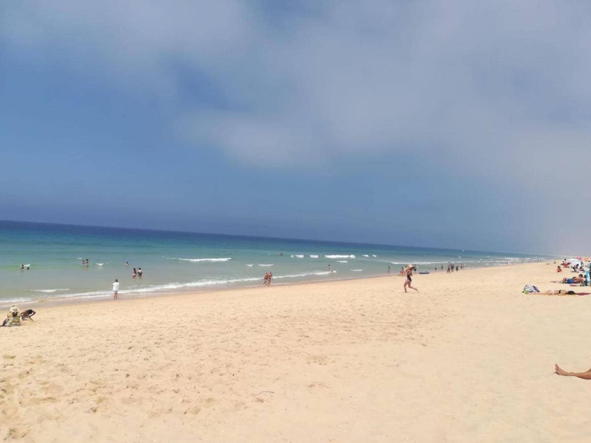 Venâncio Alojamento Alcácer do Sal Exterior foto